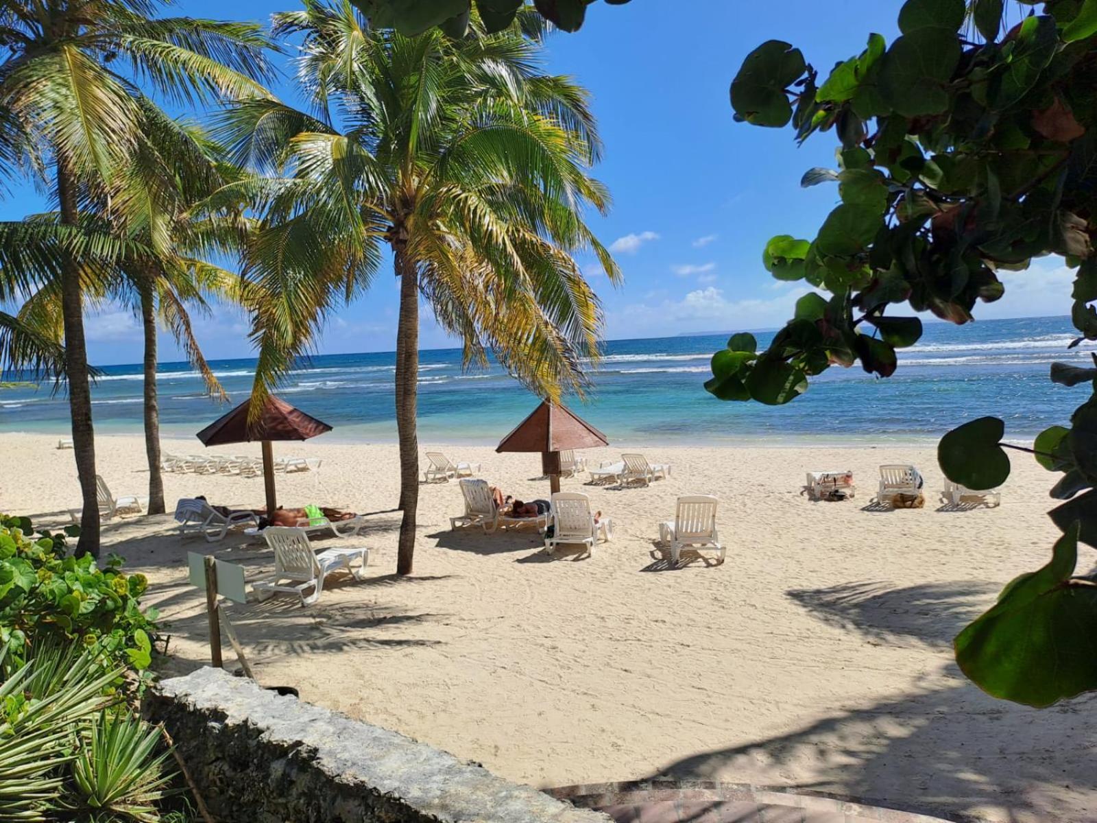 Grand Studio Vue Mer Exceptionnelle, Piscines, Plages. Sainte-Anne  Luaran gambar