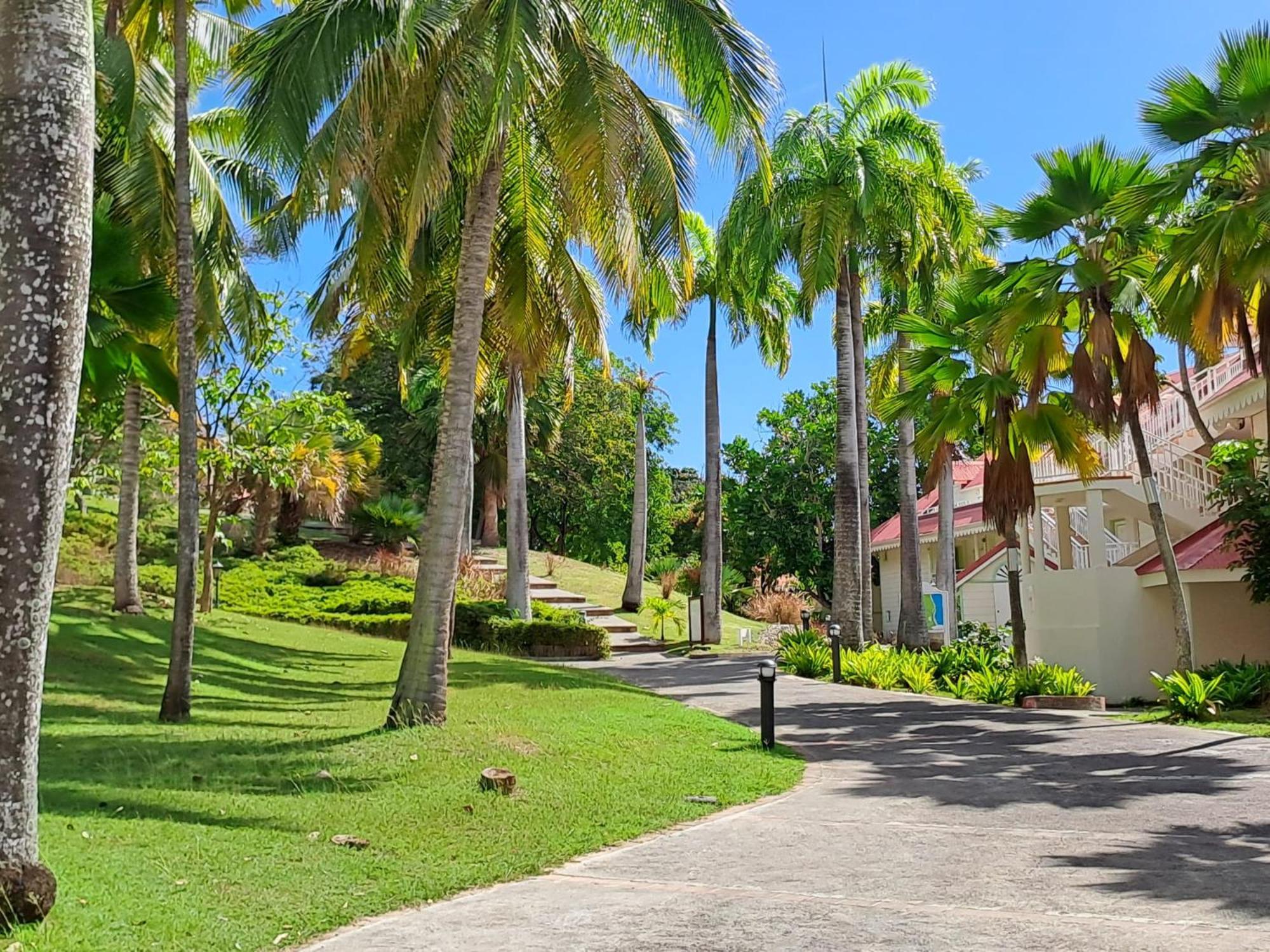 Grand Studio Vue Mer Exceptionnelle, Piscines, Plages. Sainte-Anne  Luaran gambar